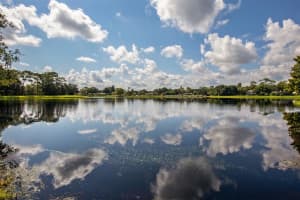 4749 Swansneck Pl, Winter Springs, FL 32708, Sold 12/29/21