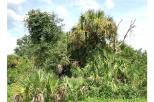 FIVELEAF RD, NORTH PORT, FL 34288 - MLS#MFRO5971819