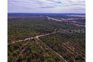 INTERNATIONAL DR, ORLANDO, FL 32821 - MLS#MFRO5979471