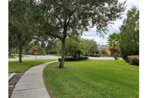 14236 Oasis Cove Boulevard, Windermere, FL 34786, Sold 11/18/21
