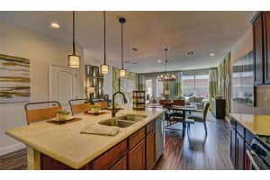 12042 Grandrose Aly, Winter Garden, FL 34787, Sold 04/29/22