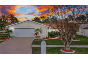 11243 Scenic View Ln, Orlando, FL 32821, Sold 02/25/22