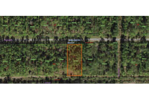 916 CAMELLIA DR, INDIAN LAKE ESTATES, FL 33855 - MLS#MFRO6000277