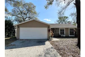 5313 Black Pine Dr, Tampa, FL 33624, Sold 04/12/22
