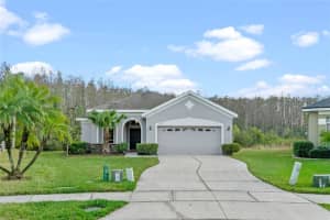 2049 Marsh Hawk Dr, Orlando, FL 32837, Sold 03/31/22