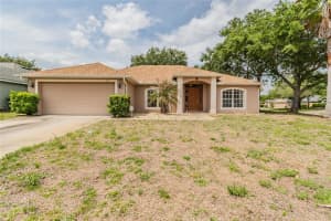245 PALMETTO SPRINGS ST, DEBARY, FL 32713 Sold 08/11/22