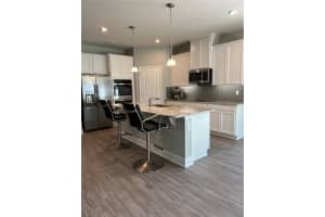 1750 Summer Rose Dr, Mt Dora, FL 32757, Sold 05/23/22