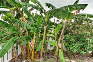 734 Marina Point Dr, Daytona Beach, FL 32114, Sold 06/15/22
