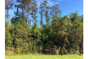 PADDOCK ST, ORLANDO, FL 32833 Sold 05/06/25