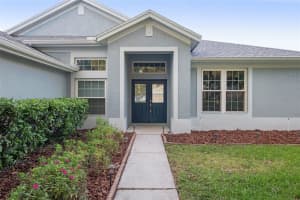 10015 REMINGTON DR, RIVERVIEW, FL 33578 Sold 10/11/22