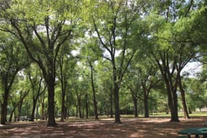 1521 CLAPTON DR, DELAND, FL 32720 Sold 07/22/22