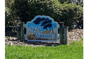 4307 Sea Mist Dr, New Smyrna Beach, FL 32169, Sold 06/17/22