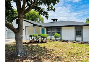 2360 AMHERST LN, MOUNT DORA, FL 32757 Sold 07/18/22