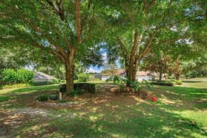 10753 WILLOWWOOD CT, CLERMONT, FL 34711 Sold 07/18/22