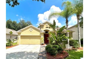 10853 TREE CACTUS LOOP, LAND O LAKES, FL 34638 Sold 08/26/22