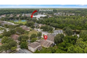 10853 TREE CACTUS LOOP, LAND O LAKES, FL 34638 Sold 08/26/22