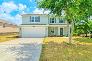 411 SKY VALLEY ST, CLERMONT, FL 34711 Sold 07/15/22