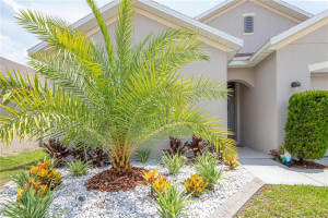 315 BRIAR PATCH LOOP, DAVENPORT, FL 33896 Sold 08/23/22