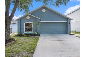 11720 IVY FLOWER LOOP, RIVERVIEW, FL 33578 Sold 03/21/23