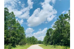 131 HIDDEN PALMS CT, DAVENPORT, FL 33897 Sold 09/01/22
