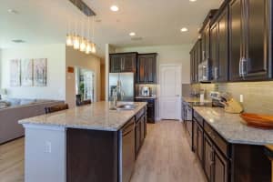 15651 Orange Harvest Loop, Winter Garden, FL 34787, Sold 09/12/22