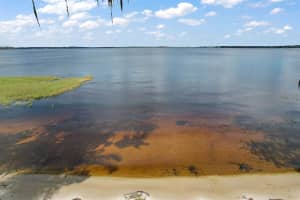 12845 Brunello Cir, Clermont, FL 34711, Sold 11/18/22