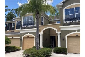 12642 SILVERDALE ST, TAMPA, FL 33626 Sold 02/09/23