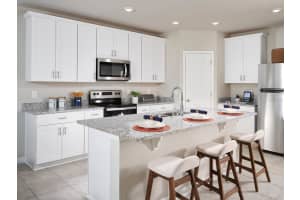 1204 CITRUS LANDING BLVD, DAVENPORT, FL 33837 Sold 11/07/22