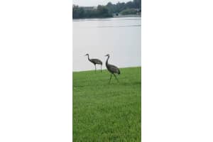 932 LAKE DESTINY RD #C, ALTAMONTE SPRINGS, FL 32714 Sold 10/03/22