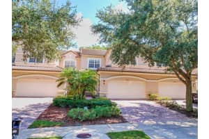 8233 TIVOLI DR, ORLANDO, FL 32836 Sold 11/16/22