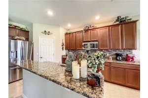 22031 BELGIAN CT, MOUNT DORA, FL 32757 Sold 12/01/22