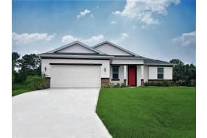 827 Parrotfish St Sw, PALM BAY