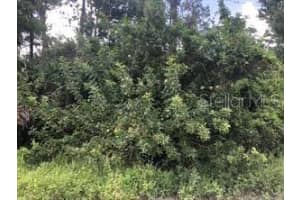 JEFFERSON AVE, ORLANDO, FL 32820 Sold 09/30/24