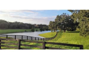 30731 LIPIZZAN TER, MOUNT DORA, FL 32757 Sold 03/06/23
