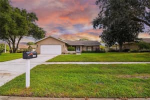 8971 ANGELICA DR, ORLANDO, FL 32836 Sold 01/12/23