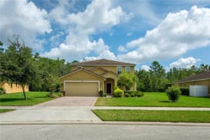 9049 PAOLOS PL, KISSIMMEE, FL 34747 Sold 04/21/23