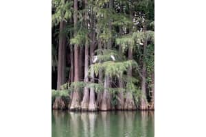 2225 HOLDEN AVE #105, ORLANDO, FL 32839 Sold 02/02/23