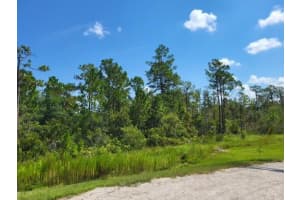 S APOPKA VINELAND, ORLANDO, FL 32821 - MLS#MFRO6075105