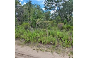 NE 66TH LN, WILLISTON, FL 32696 - MLS#MFRO6077218