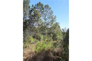  SALYERS RD, CLERMONT, FL 34714 - MLS#MFRO6078895