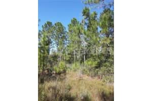  SALYERS RD, CLERMONT, FL 34714 - MLS#MFRO6078895