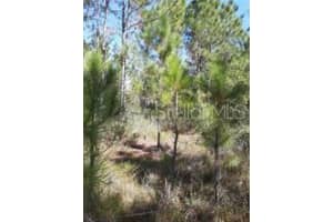  SALYERS RD, CLERMONT, FL 34714 - MLS#MFRO6078900