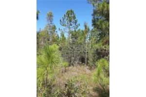  SALYERS RD, CLERMONT, FL 34714 - MLS#MFRO6078920