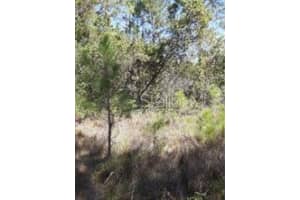  WATER RD, GROVELAND, FL 34736 - MLS#MFRO6078921