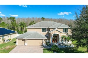 2417 Maracaibo Dr, Kissimmee, FL 34746, Sold 03/08/23