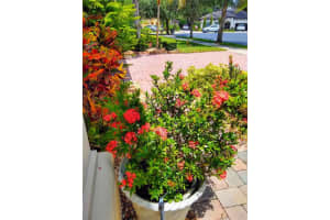 820 STEPHENS PASS COVE, LAKE MARY, FL 32746 Sold 09/30/24