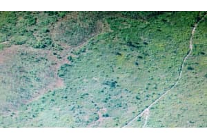 INTERNATIONAL DR, ORLANDO, FL 32821 Sold 04/30/25