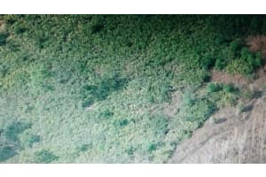 INTERNATIONAL DR, ORLANDO, FL 32821 Sold 04/30/25