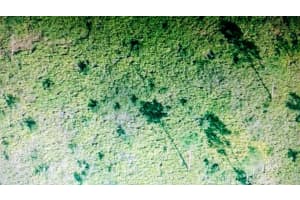INTERNATIONAL DR, ORLANDO, FL 32821 Sold 04/30/25