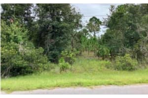 0 STARRY STREET, ORLANDO, FL 32833 - MLS#MFRO6084901